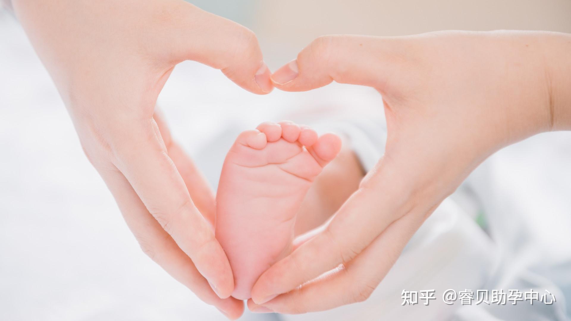 生育补贴政策下的郑州女性招聘方案